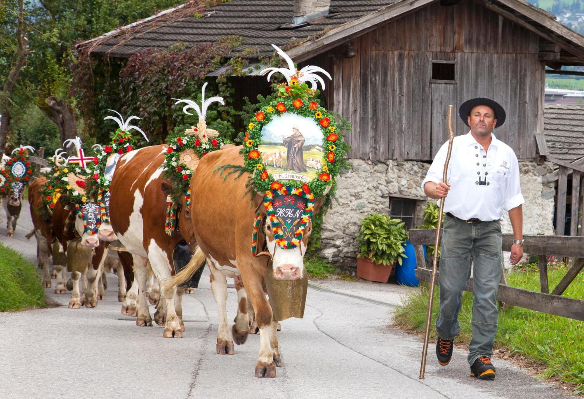 Apartment Gruber Aschau Im Zillertal Eksteriør billede